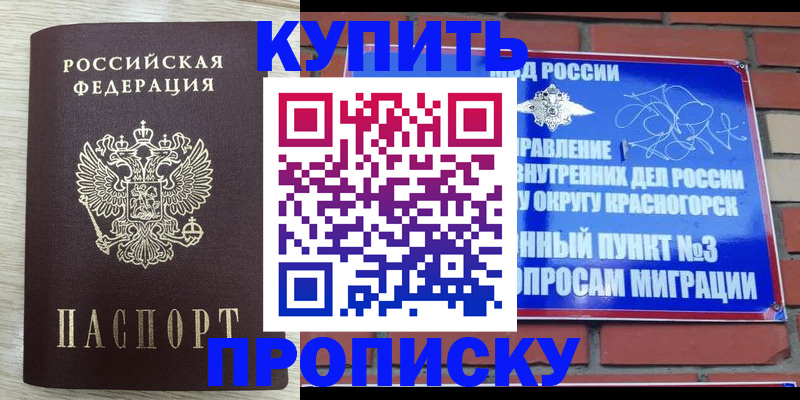 прописка гарантия в Ермолино
